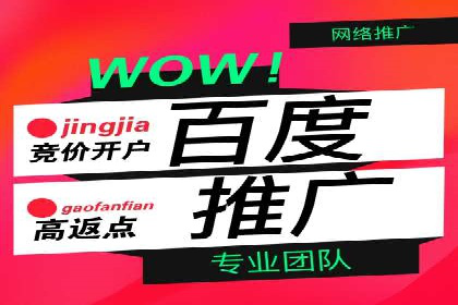 百度竞价运营实战案例分析